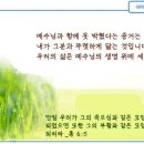 일일예화말씀묵상 2023년 12월 1일 (금) - 기쁨의 감사 이미지