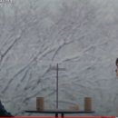 눈카페 이미지