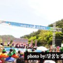 달콤한꿈을꾸는베리농장 이미지