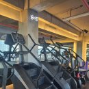 알짐 리커버리 이미지