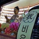 비우고 채우고 Daum카페