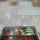 온산에덴유치원 이미지