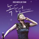 이은미 콘서트 이미지