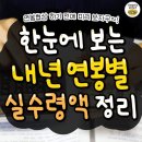 2024년 연봉별 실수령액 이미지