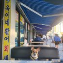 옥이횟집