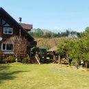 쉬자트리하우스 이미지