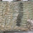 맑은샘이 있는 봄 이미지