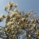 가곡농장 이미지