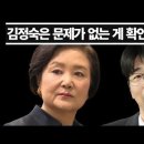 김건희 특검 억지 부리다 김정숙으로 역풍... 과거 청와대 발언 감당할 수 있나? 이미지