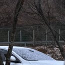 동계닭집 이미지