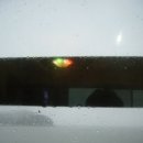 해송과 바다 이미지