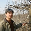 들꽃세상 이미지