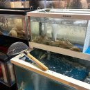 왕십리119안전센터 이미지