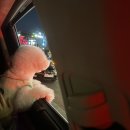 강아지 놀이터 이미지