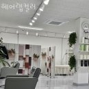 헤어랩컬러
