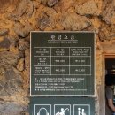 성읍리-28 티스토리