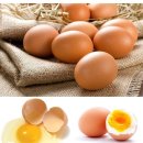 달걀. 이미지