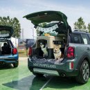 퍼피트랙 이미지