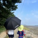 라메르 갯벌 이미지