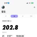 제주일상