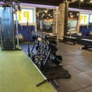 뉴바디짐 이미지