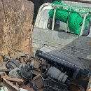 금강비철 이미지