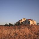 대명해장국 이미지