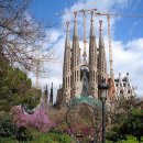 스페인 바로셀로나성당(聖堂) ~ 가우디 건축설계 ~ 이미지