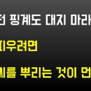 페이지323