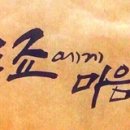 올빼미운동장
