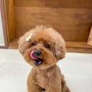 트리밍153 이미지