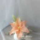 릴리플라워 이미지