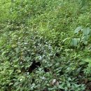 보람공원 이미지