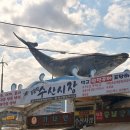 신수시장 | [주문진 횟집] 주문진수산시장 회포장 맛집 민자횟집 맛있는 방문후기!