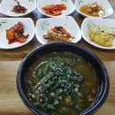 괴산다슬기식당 Daum카페