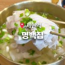 시그마백링크 | 서현 점심 명백집 국밥 한정판 존맛 오징어젓갈이 킥이네
