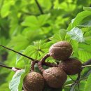 영등포공원 이미지