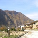 임씨네농장 이미지