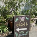 목향 장미와 꽃들이 가득한 경주감성카페 미연이가 사랑하는 꽃 : 미화사