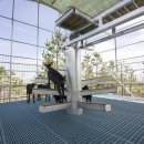 행복한흑염소농장 이미지