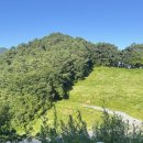 정해병목장 | 산너미목장에서 2박 3일/산너미캠핑장 재방문 후기!