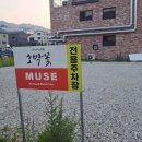 호박꽃김해