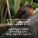 까망 이미지