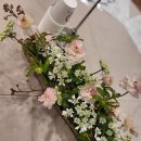 까멜리아 플라워 이미지