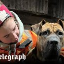 MY DOG GROOMING 이미지