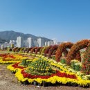 몽고아구찜 이미지