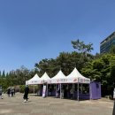 장미꽃핀집 | 고양국제꽃박람회 - 입장료 아깝지 않을까? 솔직 방문리뷰