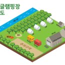 샛별글램핑 이미지