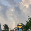 전주스케이트보드강습 및 롱보드강습후기