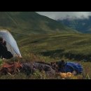 와일드그린 이미지